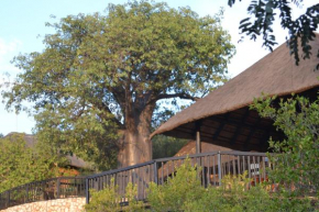 Adansonia Eco Lodge